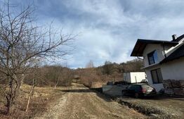 Teren Intravilan de vanzare, 850 mp, Valea Budacului