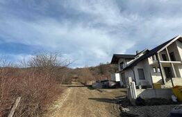 Teren Intravilan de vanzare, 850 mp, Valea Budacului