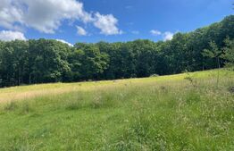 Teren extravilan de vanzare, 740 mp, zona Taberei