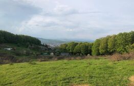 Teren extravilan de vanzare, 740 mp, zona Taberei