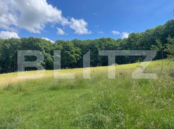 Teren de vânzare Exterior Est - 178216TV | BLITZ Bistriţa | Poza3