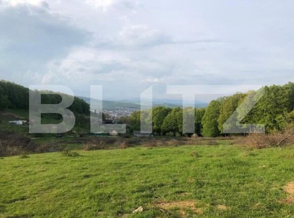 Teren de vânzare Exterior Est - 178216TV | BLITZ Bistriţa | Poza2