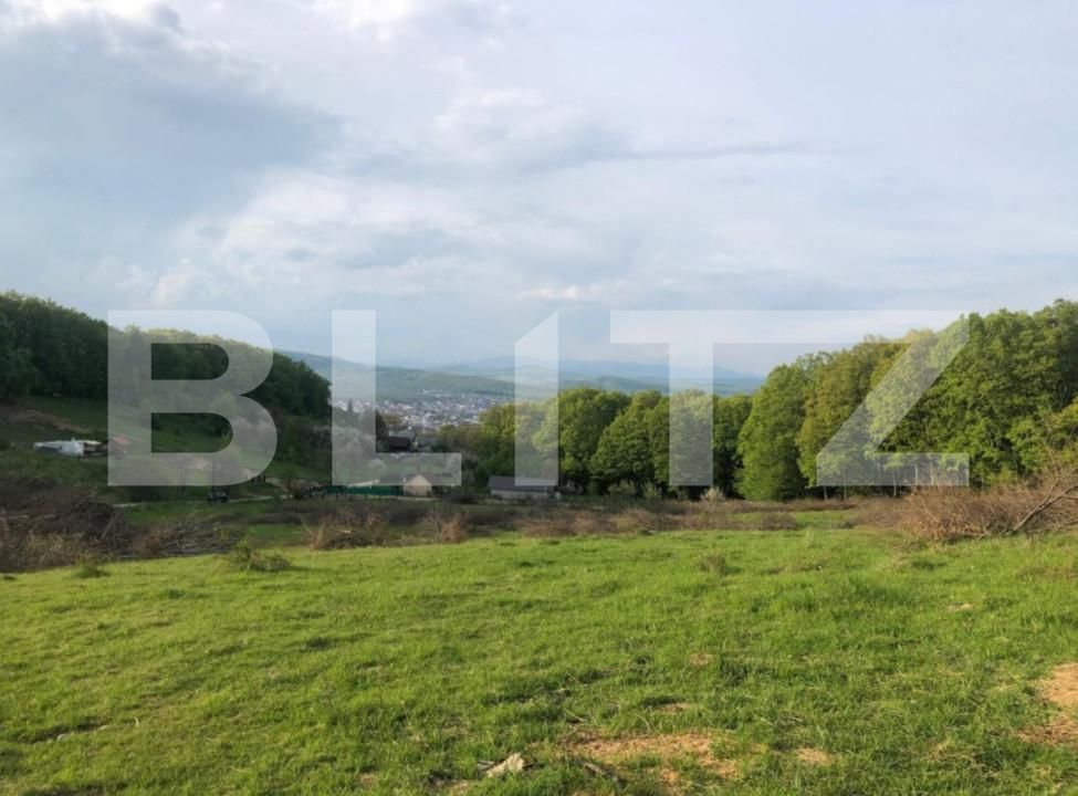 Teren de vânzare Exterior Est - 178216TV | BLITZ Bistriţa | Poza2