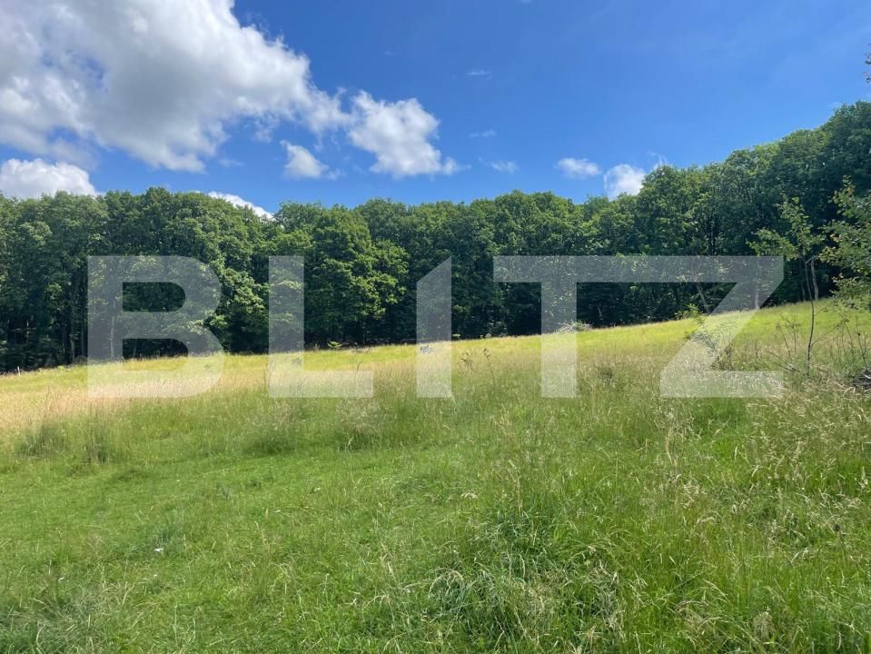 Teren de vânzare Exterior Est - 178216TV | BLITZ Bistriţa | Poza3