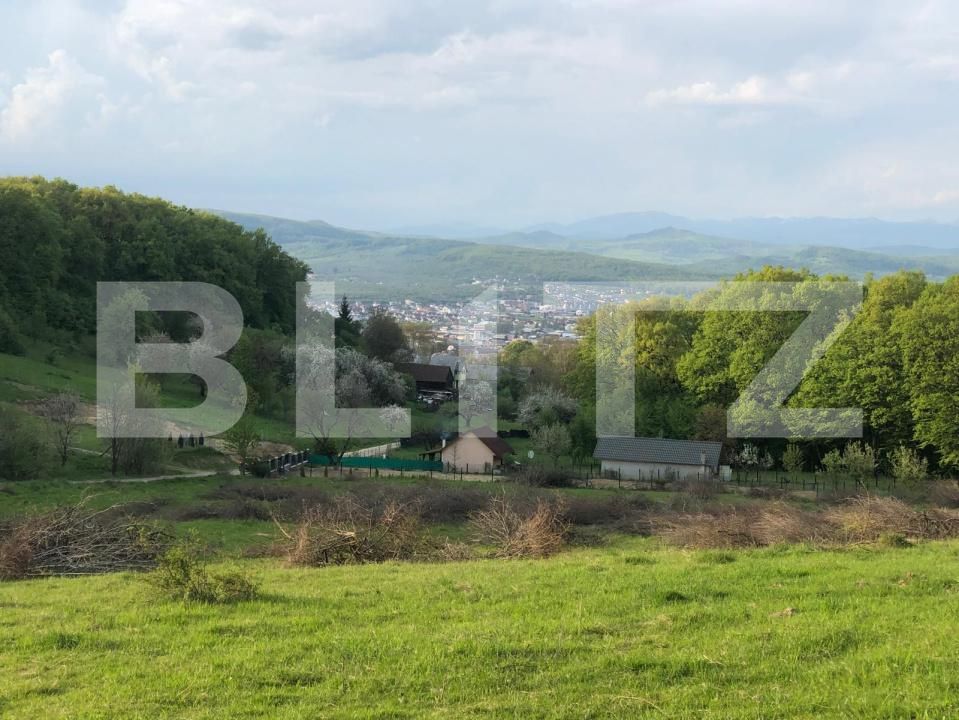 Teren de vânzare Exterior Est - 178216TV | BLITZ Bistriţa | Poza4