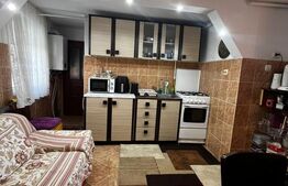 Casa individuala in zona Parcului Central