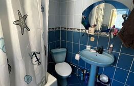 Casa individuala in zona Parcului Central