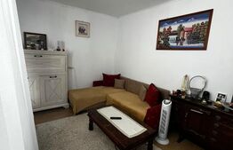 Casa individuala in zona Parcului Central