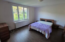 Casa de vanzare, cu 4 dormotoare si 10 ari teren, zona Unirea