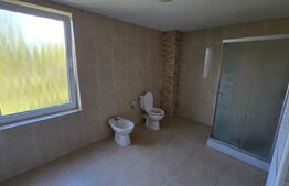 Casa de vanzare, cu 4 dormitoare si 10 arii teren, zona Unirea