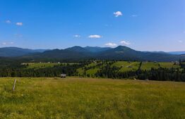 Teren extravilan 28 ari,zona Piatra Fantanele