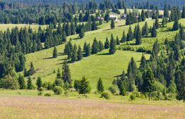 Teren extravilan 28 ari,zona Piatra Fantanele