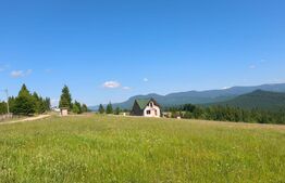 Teren extravilan 28 ari,zona Piatra Fantanele