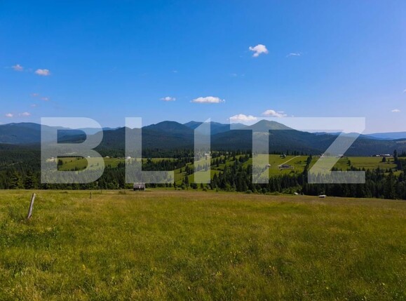 Teren de vânzare Piatra Fantanele - 178431TV | BLITZ Bistriţa | Poza4