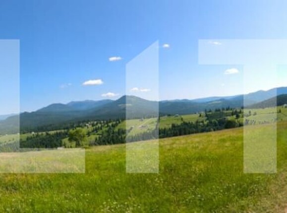 Teren de vânzare Piatra Fantanele - 178431TV | BLITZ Bistriţa | Poza2