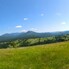 Teren de vânzare Piatra Fantanele - 178431TV - Poza 1 din 7 | BLITZ Bistriţa | Poza1