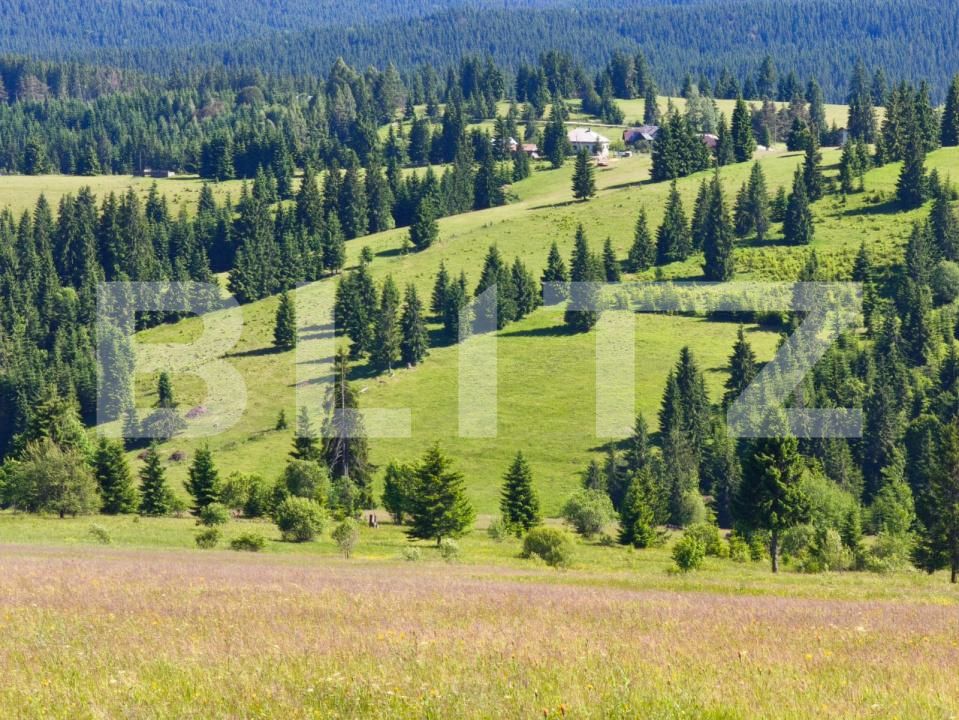 Teren de vânzare Piatra Fantanele - 178431TV | BLITZ Bistriţa | Poza5