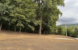 Teren de vânzare Viișoara - 148136TV | BLITZ Bistriţa | Poza4