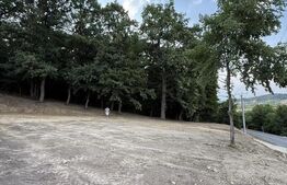 Teren intravilan – Bistrița, Str. V. Budacului