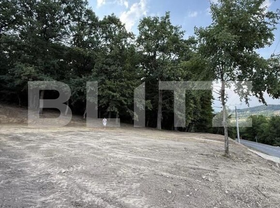 Teren de vânzare Exterior Sud - 178654TV | BLITZ Bistriţa | Poza3