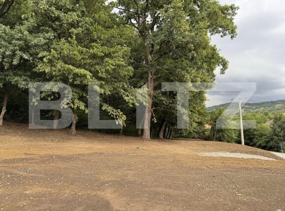 Teren de vânzare Exterior Sud - 178654TV | BLITZ Bistriţa | Poza1