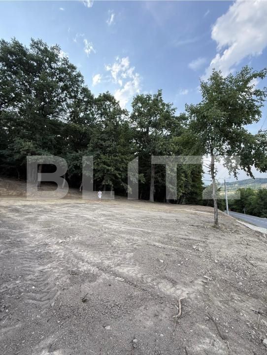 Teren de vânzare Exterior Sud - 178654TV | BLITZ Bistriţa | Poza3