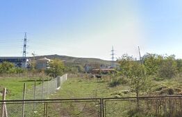 Teren intravilan, 2928 mp, zona Viisoara