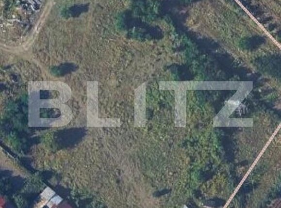 Teren de vânzare Viișoara - 178795TV | BLITZ Bistriţa | Poza2