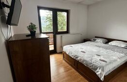 Cabana turistică complet utilată – Colibița