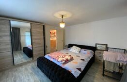 Casă modernă 4 camere, 30 ari teren, 4 anexe la 20 de minute de Bistrita-Mintiu