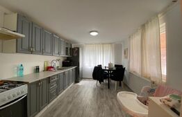 Casă modernă 4 camere, 30 ari teren, 4 anexe la 20 de minute de Bistrita-Mintiu