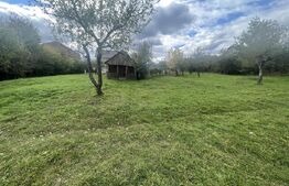 Teren de vânzare Sud - 172273TV | BLITZ Bistriţa | Poza5