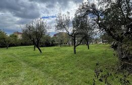 🌳 Teren 14.28ari în zona Schulleward – ideal pentru casă sau duplex!