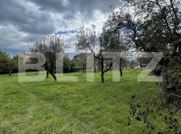 Teren de vânzare Centura - 179309TV | BLITZ Bistriţa | Poza3