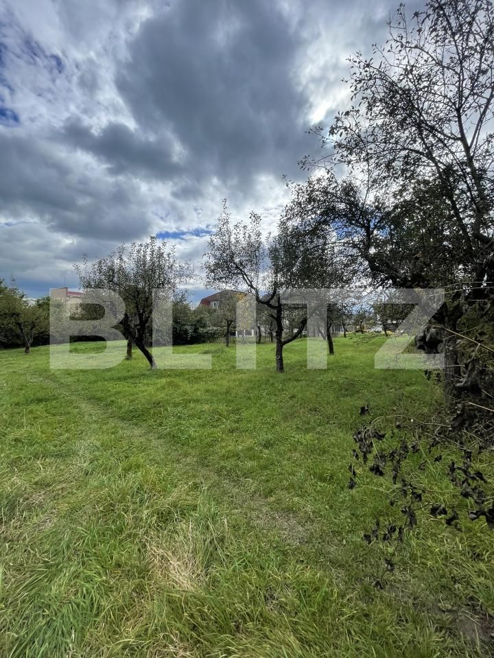 Teren de vânzare Centura - 179309TV | BLITZ Bistriţa | Poza3