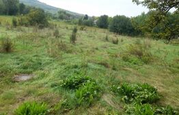 Teren intravilan 11 ari, pentru constructie casa, sat Chirales