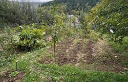 Teren intravilan de vanzare, 556 mp, zona strada Taberei 