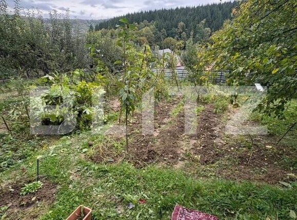 Teren de vânzare Nord - 179582TV | BLITZ Bistriţa | Poza3