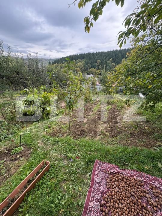 Teren de vânzare Nord - 179582TV | BLITZ Bistriţa | Poza3