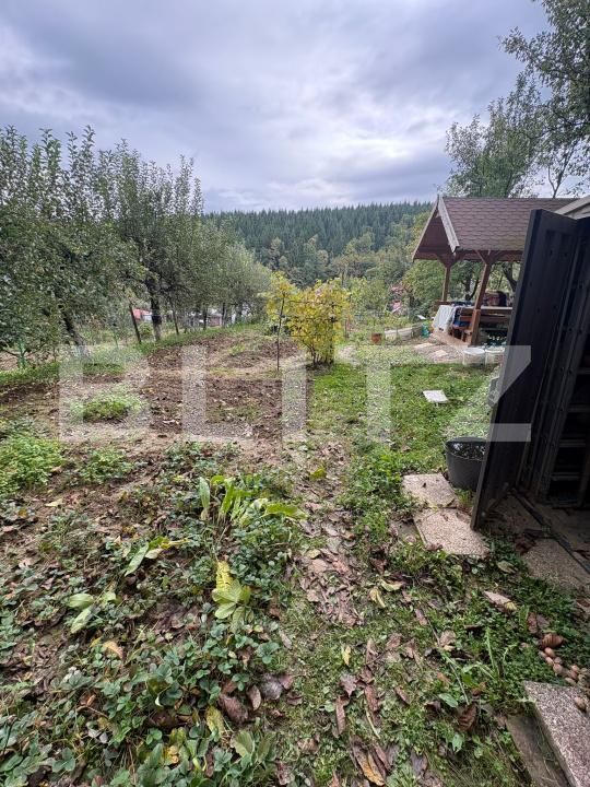 Teren de vânzare Nord - 179582TV | BLITZ Bistriţa | Poza2