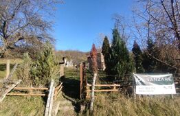 Teren 300 mp + Cabana,zona Livezile,Valea Lunga