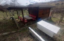 Teren 300 mp + Cabana,zona Livezile,Valea Lunga