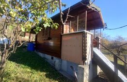 Teren 300 mp + Cabana,zona Livezile,Valea Lunga