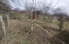 Teren 300 mp + Cabana,zona Livezile,Valea Lunga