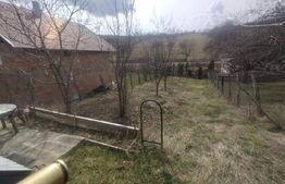 Teren 300 mp + Cabana,zona Livezile,Valea Lunga