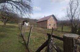 Teren 300 mp + Cabana,zona Livezile,Valea Lunga