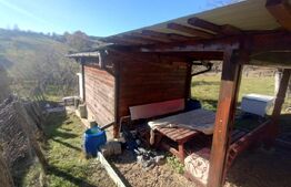 Teren 300 mp + Cabana,zona Livezile,Valea Lunga