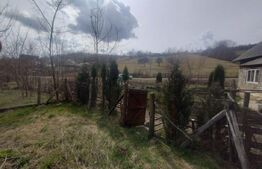 Teren 300 mp + Cabana,zona Livezile,Valea Lunga