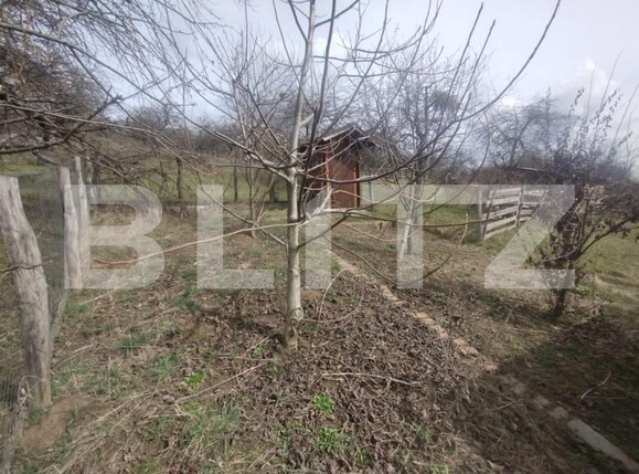 Teren de vânzare Livezile - 179863TV | BLITZ Bistriţa | Poza8