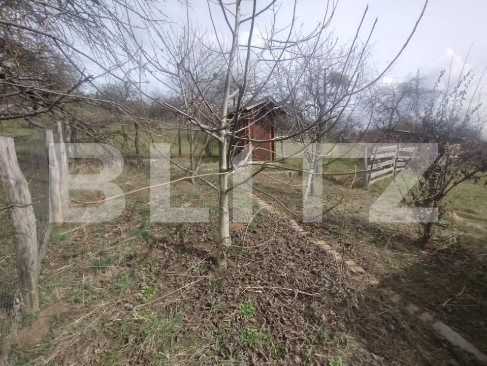 Teren de vânzare Livezile - 179863TV | BLITZ Bistriţa | Poza8